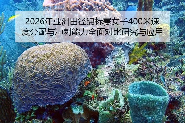 nian-ya-zhou-tian-jing-jin-biao-sai-nv-zi-mi-su-du-fen-pei-yu-chong-ci-neng-li-quan-mian-dui-bi-yan-jiu-yu-ying-yong-2-462.jpg
