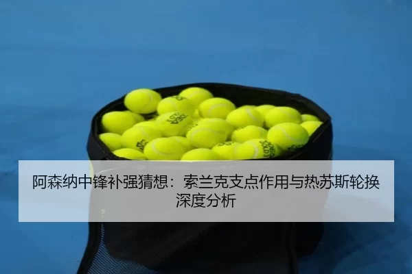 a-sen-na-zhong-feng-bu-qiang-cai-xiang-suo-lan-ke-zhi-dian-zuo-yong-yu-re-su-si-lun-huan-shen-du-fen-xi-2-950.jpg