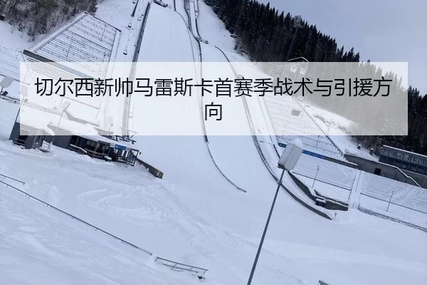 切尔西新帅马雷斯卡首赛季战术与引援方向